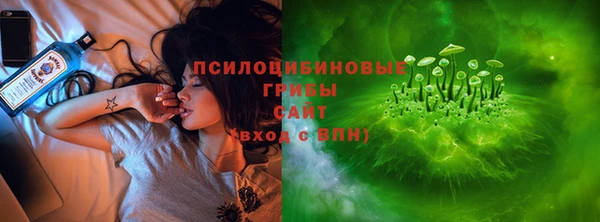 амф Алзамай