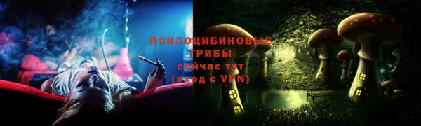 дмт Алексеевка