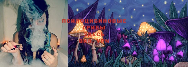 дмт Алексеевка