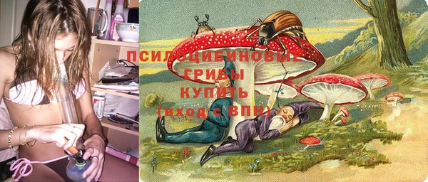 амф Алзамай
