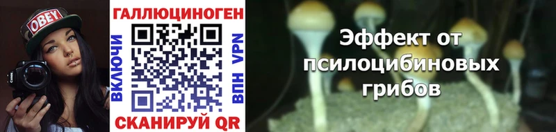 Псилоцибиновые грибы GOLDEN TEACHER  Мышкин 
